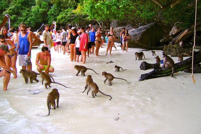 VIP Private Boat to Phi Phi Island: Snorkeling + Land Tour - Lunch on Phi Phi Don at 1:00 PM