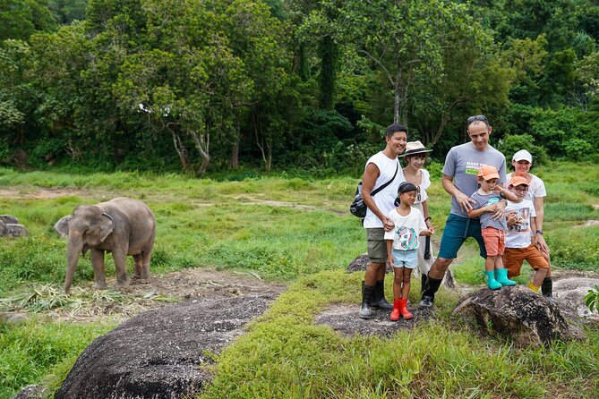 Walk and Feed at Bukit Elephant Park Phuket - What to bring, and what not to expect
