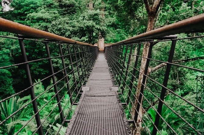 World A+ (Zipline 32 Platforms + Roller + Sky Walk with World Set Menu ) - A quieter finish on the rainforest sky walk