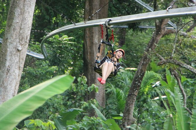 World B+ (Zipline 18 Platforms + Roller + Sky Walk with World Set Menu ) - Zip lines, abseils, and the 400-meter run