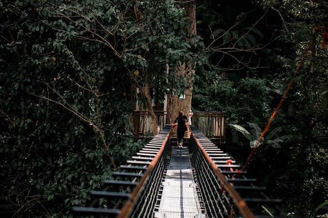 World B+ (Zipline 18 Platforms + Roller + Sky Walk with World Set Menu ) - Is $97.51 a fair price?